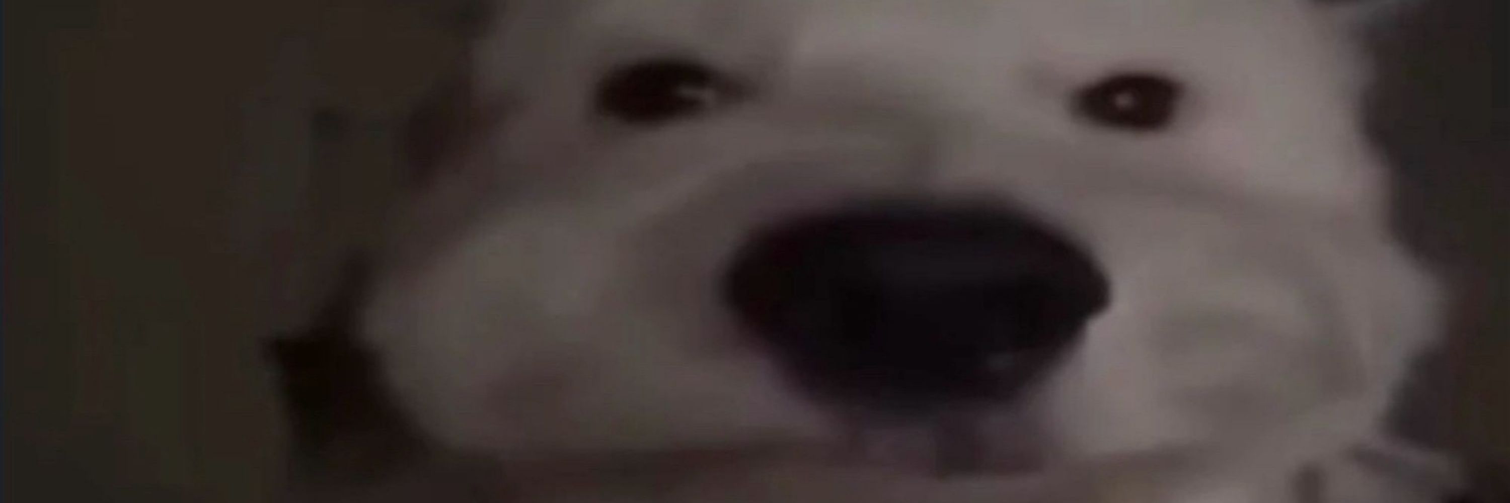 Planeta do Hentai