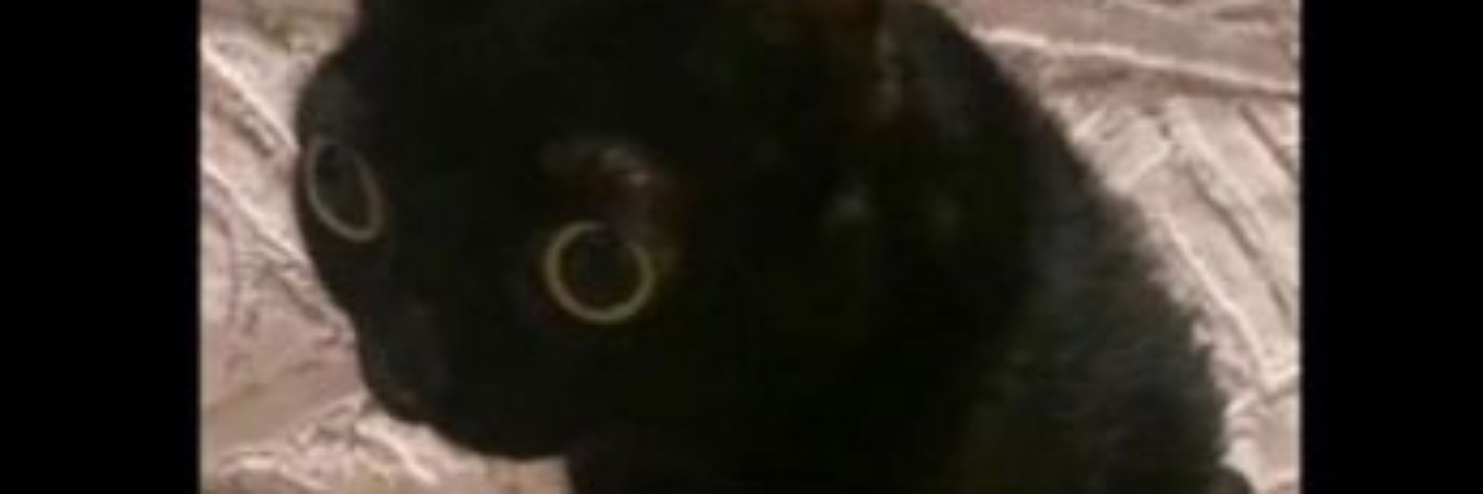 Keli