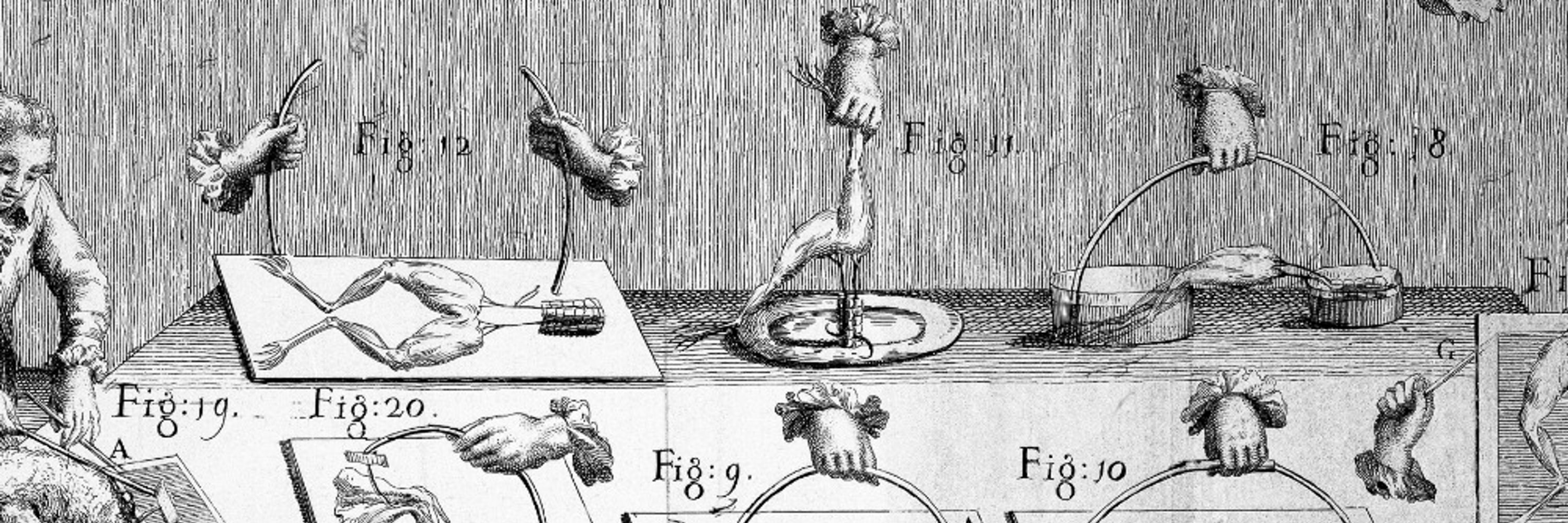 Physics in Perspective