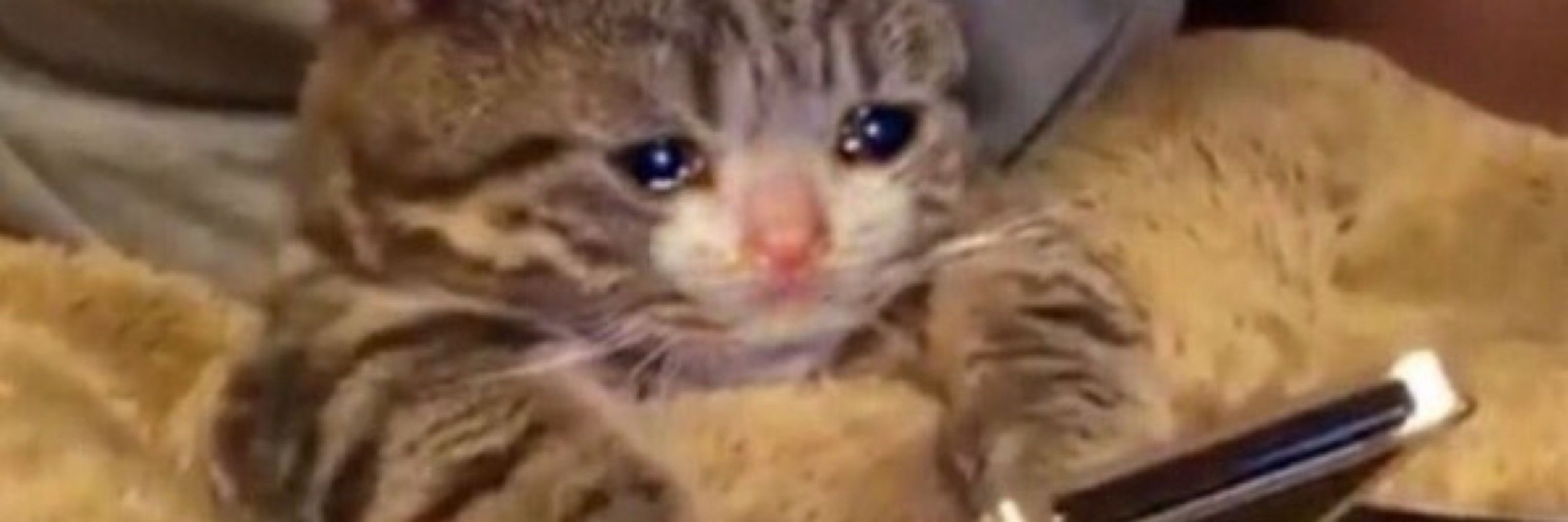 Sæmu