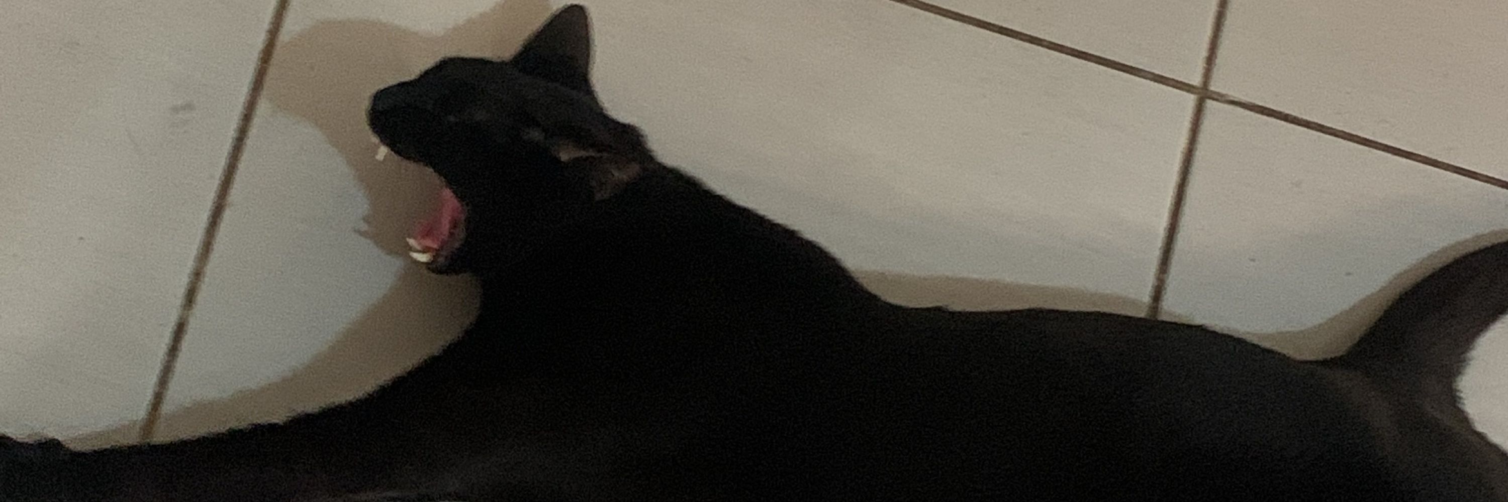 Nico