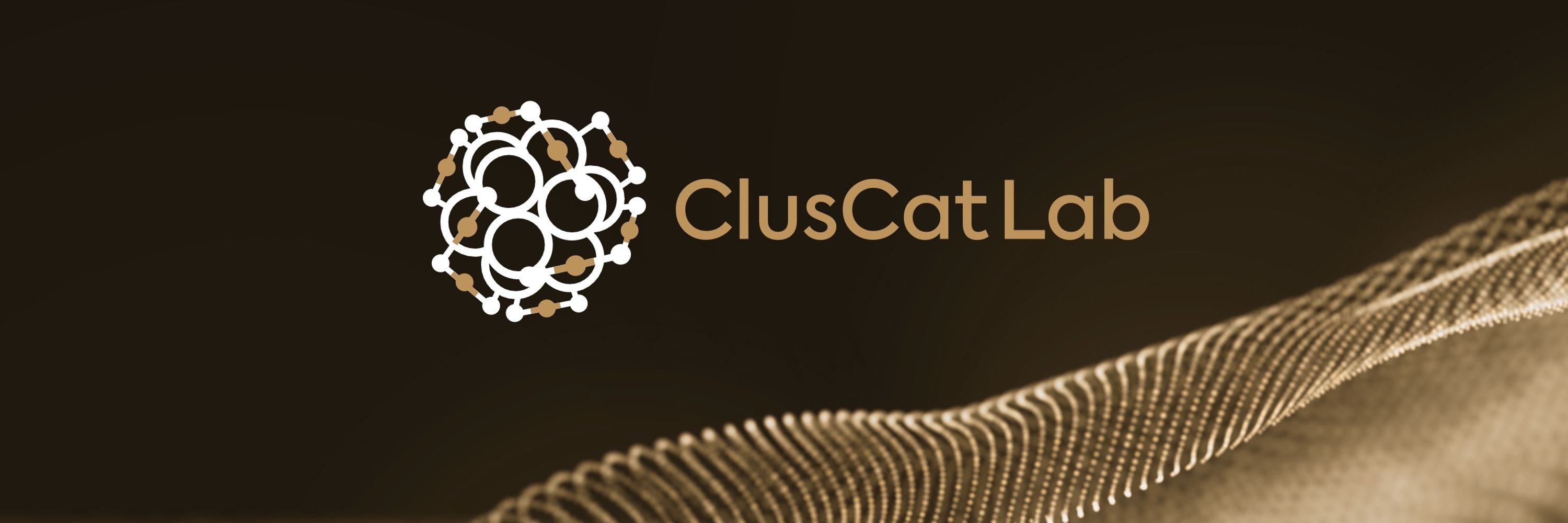 ClusCat Lab