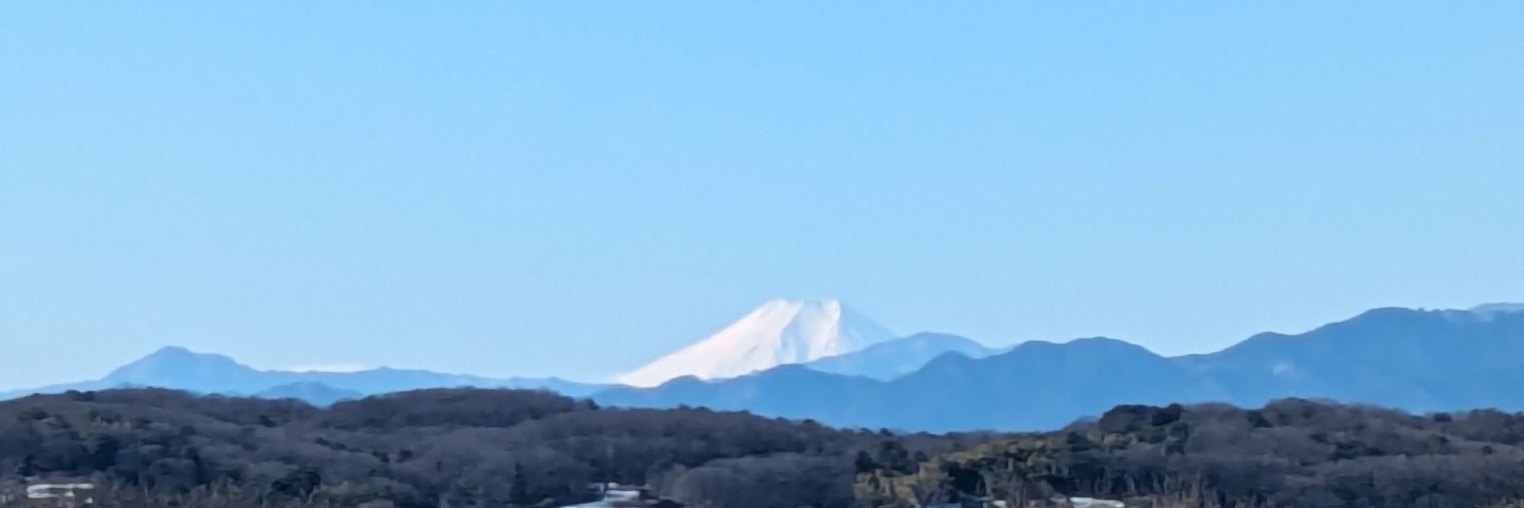 田野米