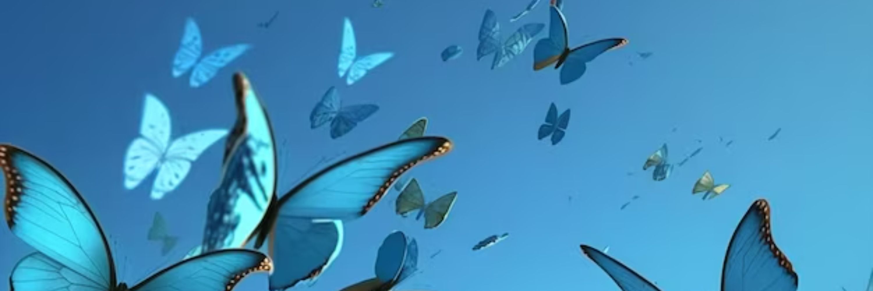 Blueboletas
