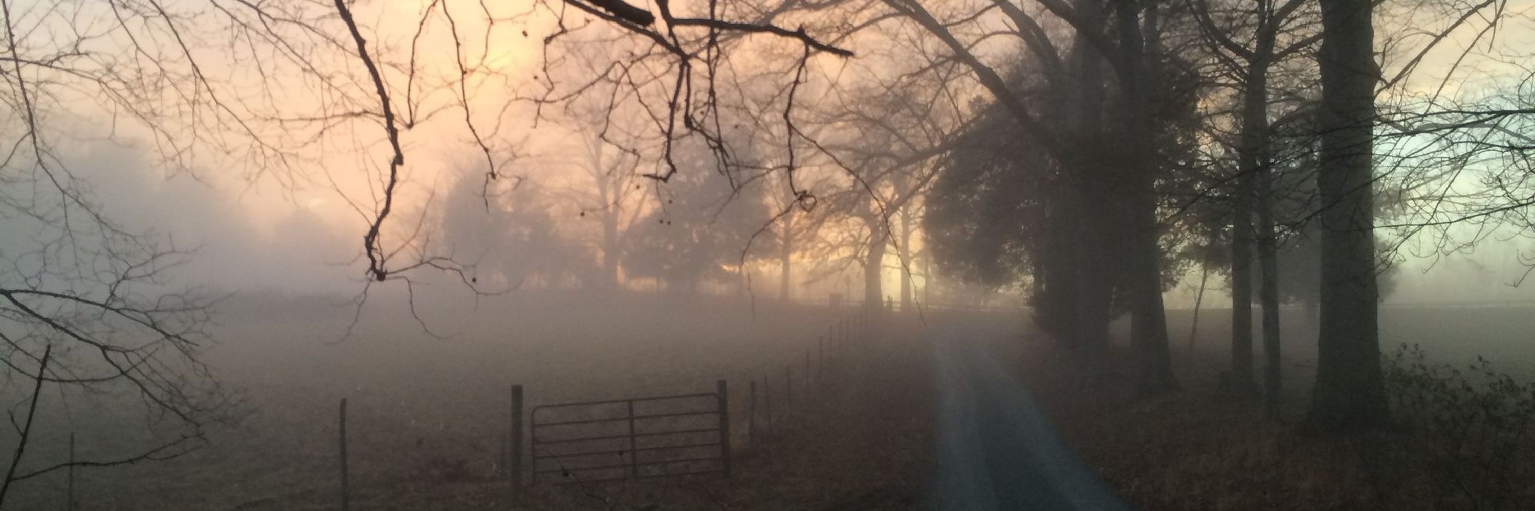 Sfumato Farm