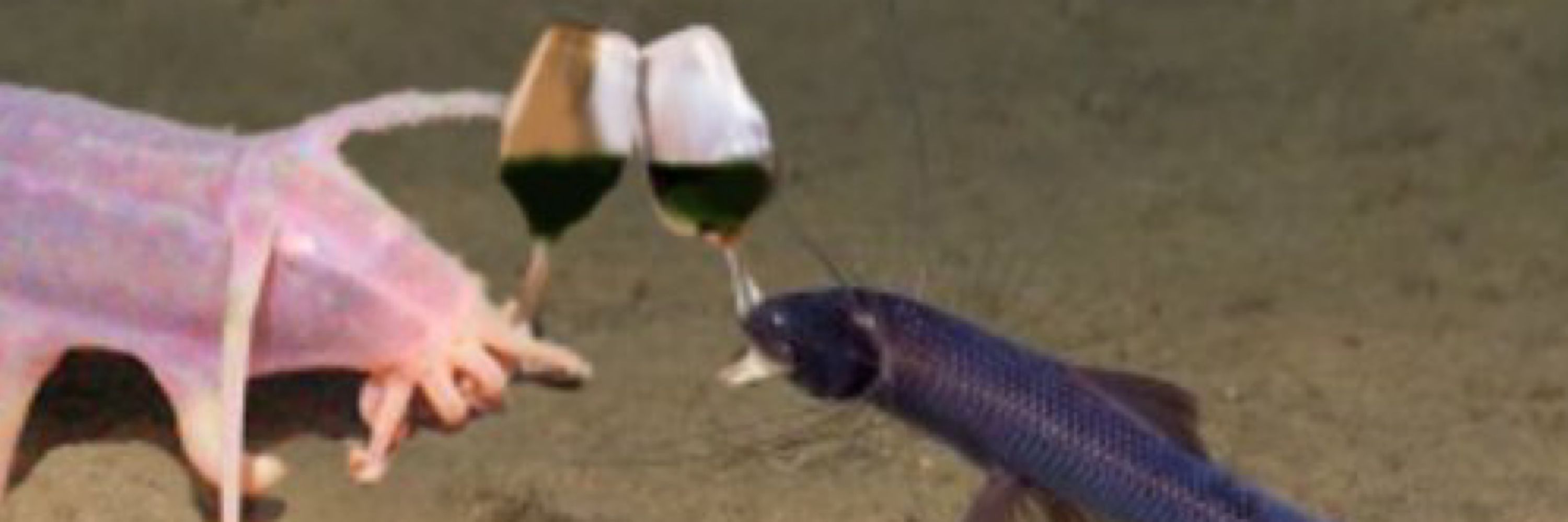 M E L