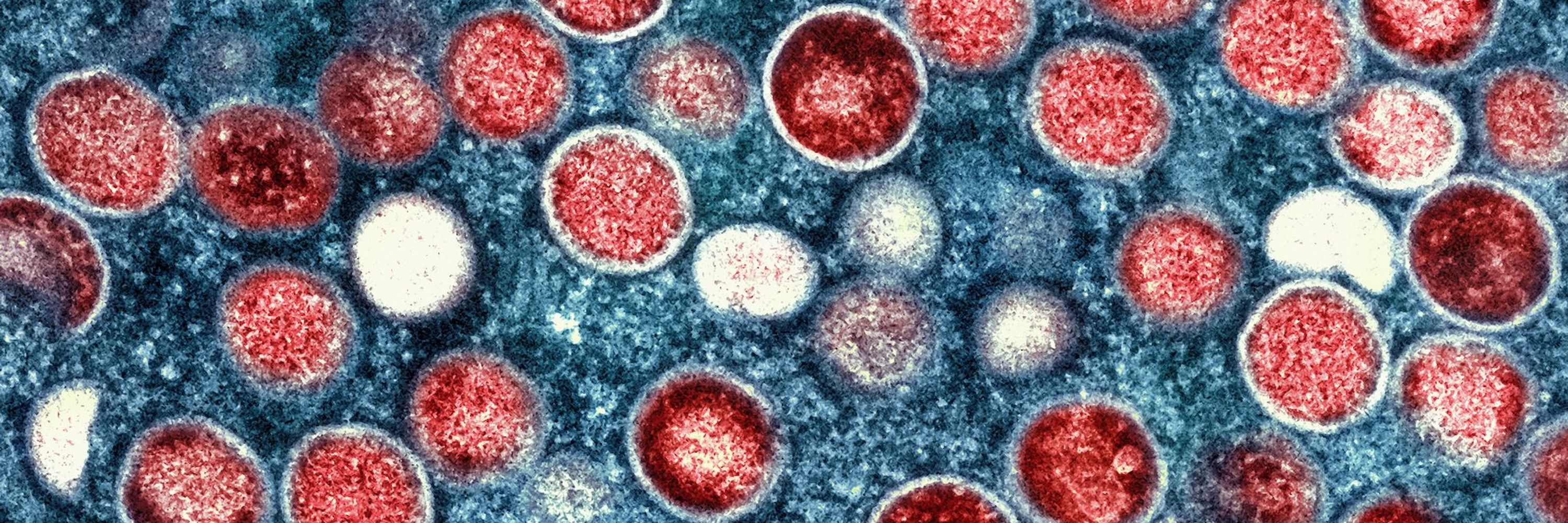 Michael G. DeGroote Institute for Infectious Disease Research