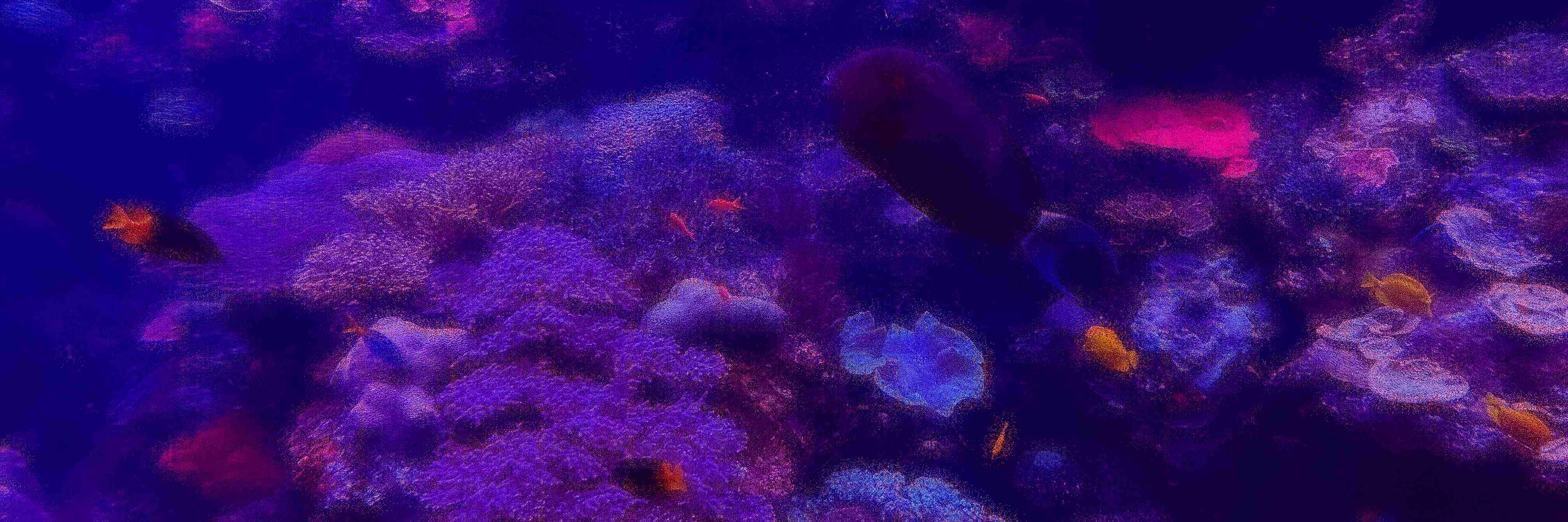 The Photonic Barrier Reef