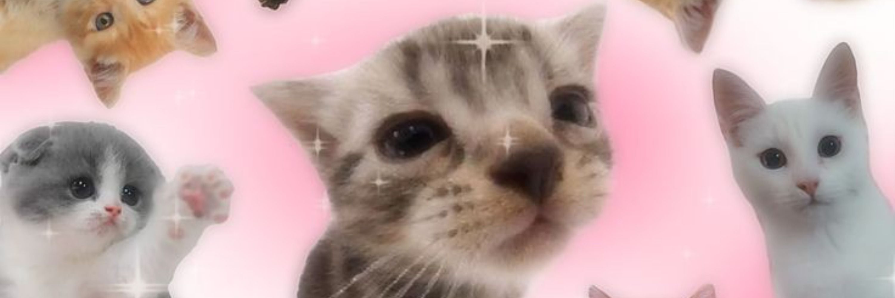 💜