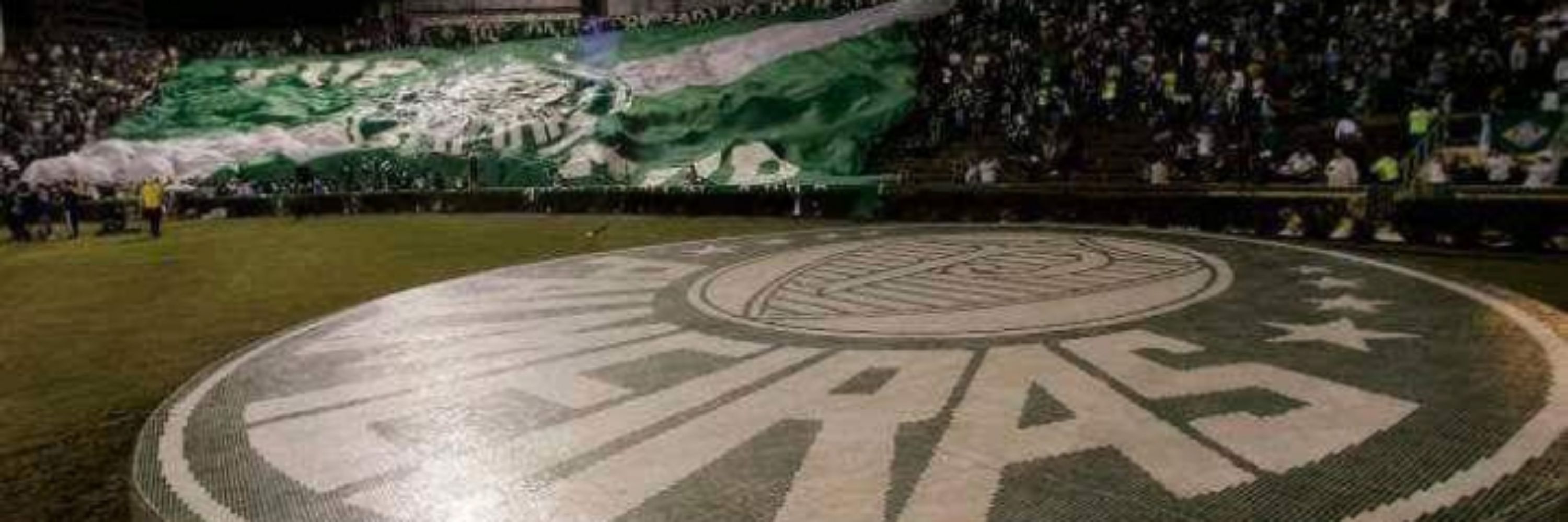 LeoMalgueiro