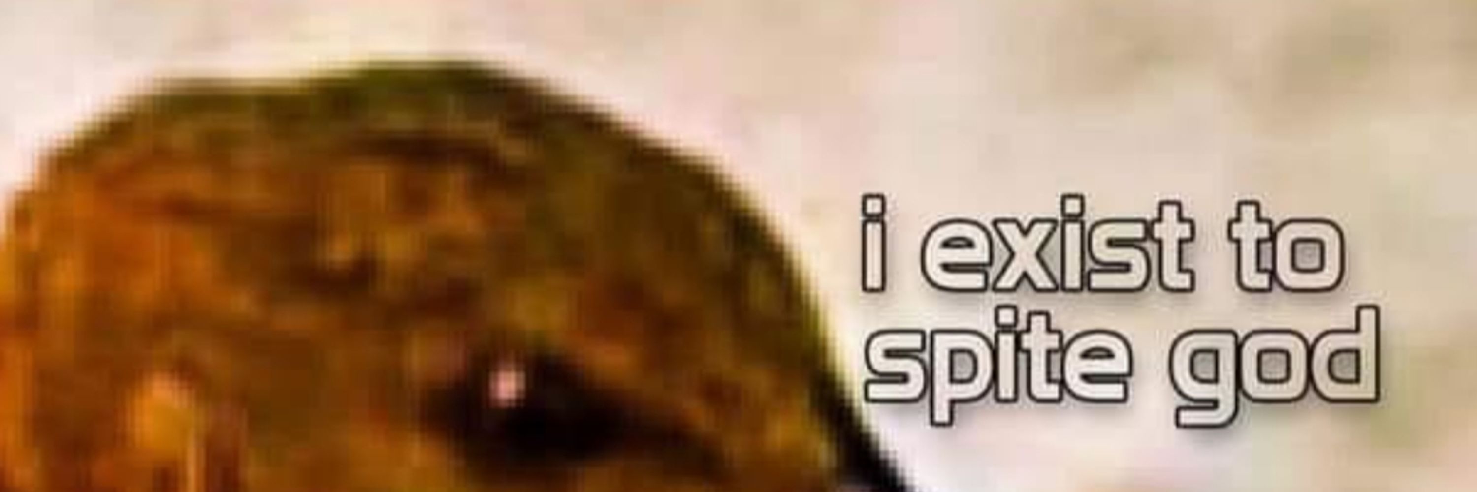 L'oiseau Spelli