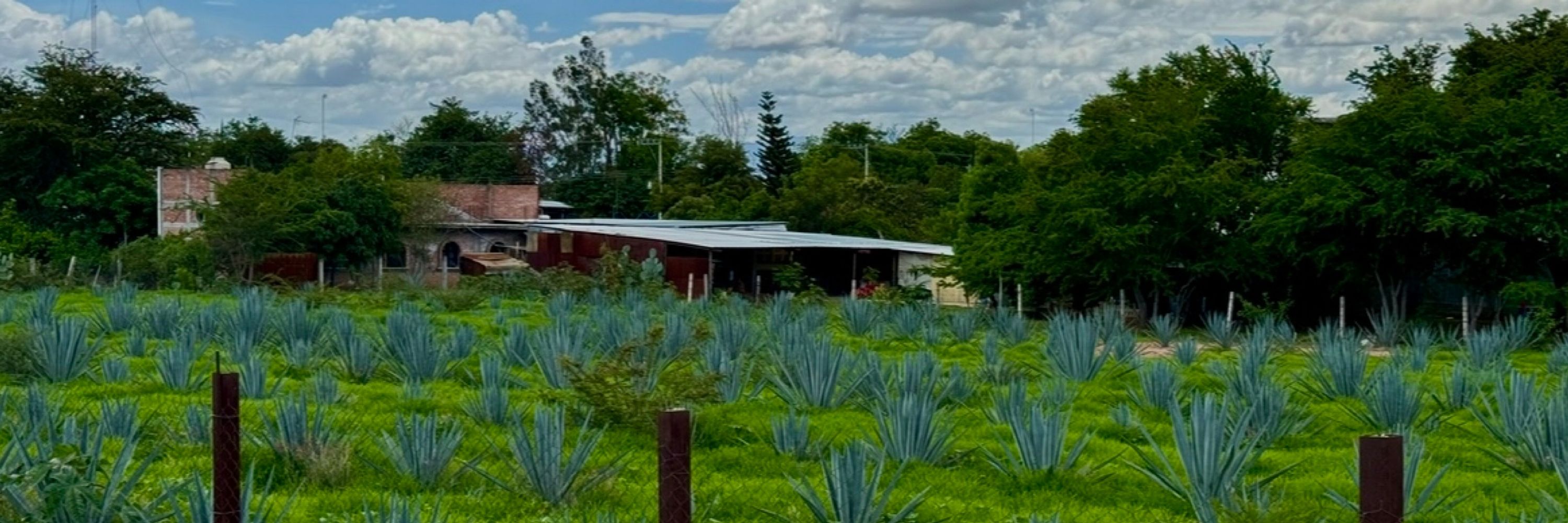 laura g gutiérrez