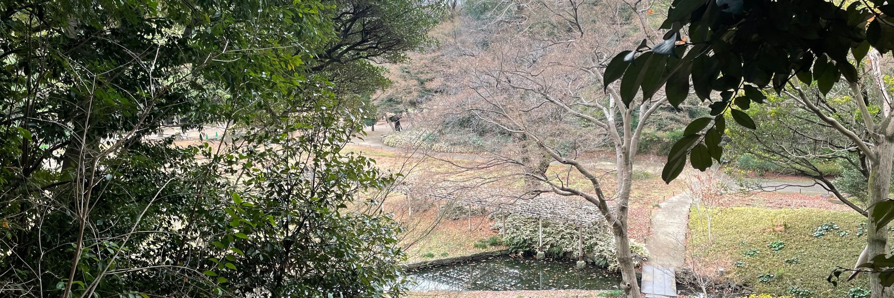おしりはずむ