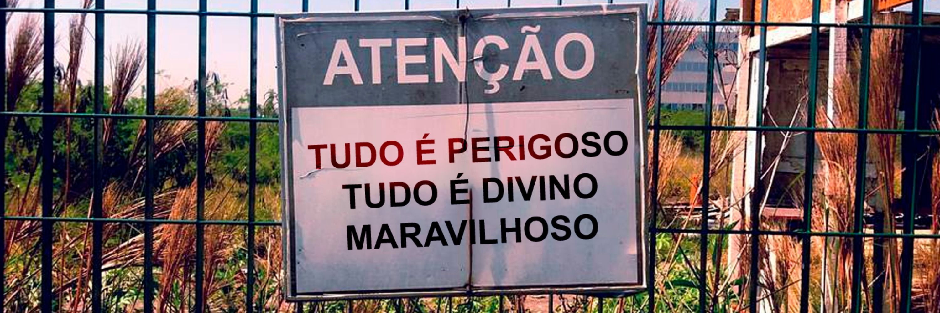 Nerd Luiz