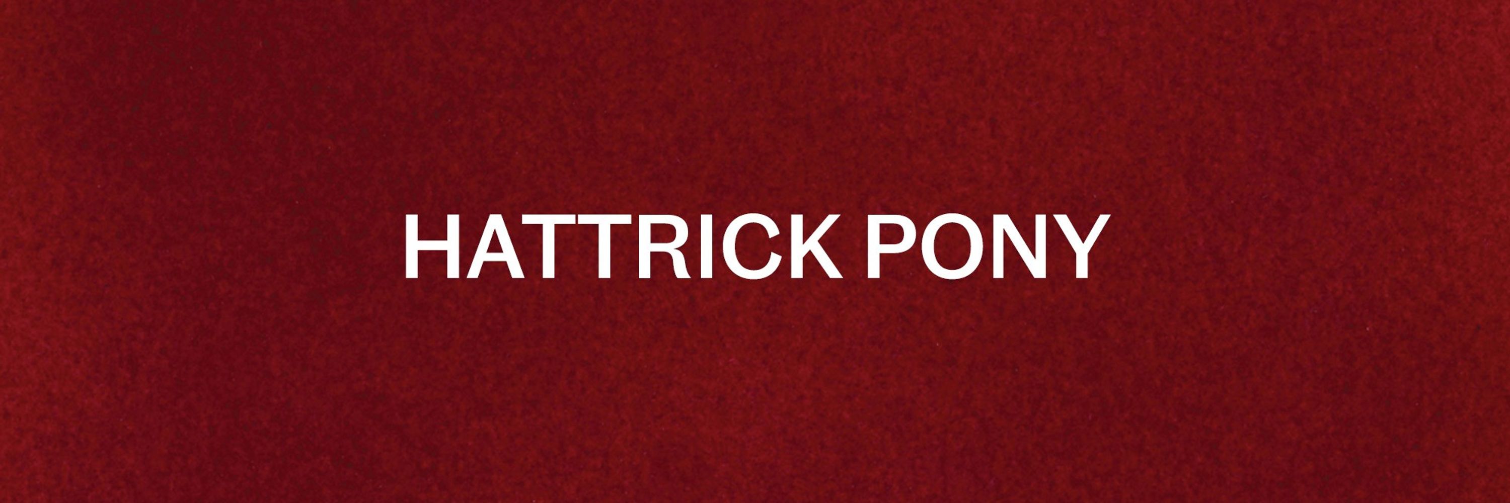 Hattrick Pony