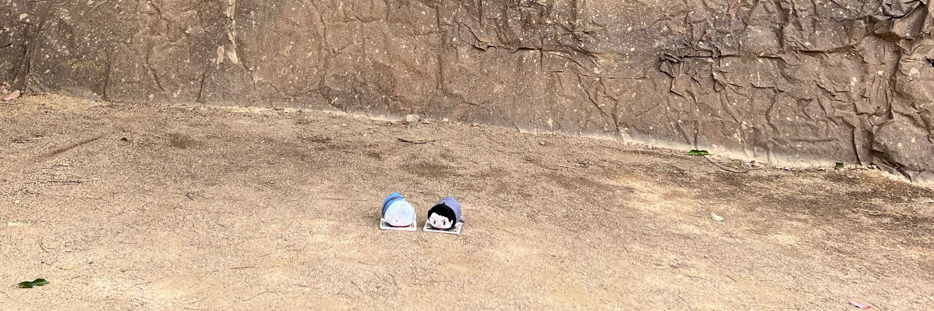 きさめ