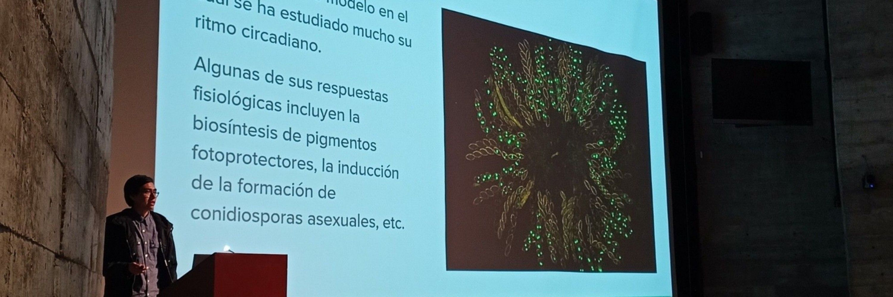 Emmanuel Hernández