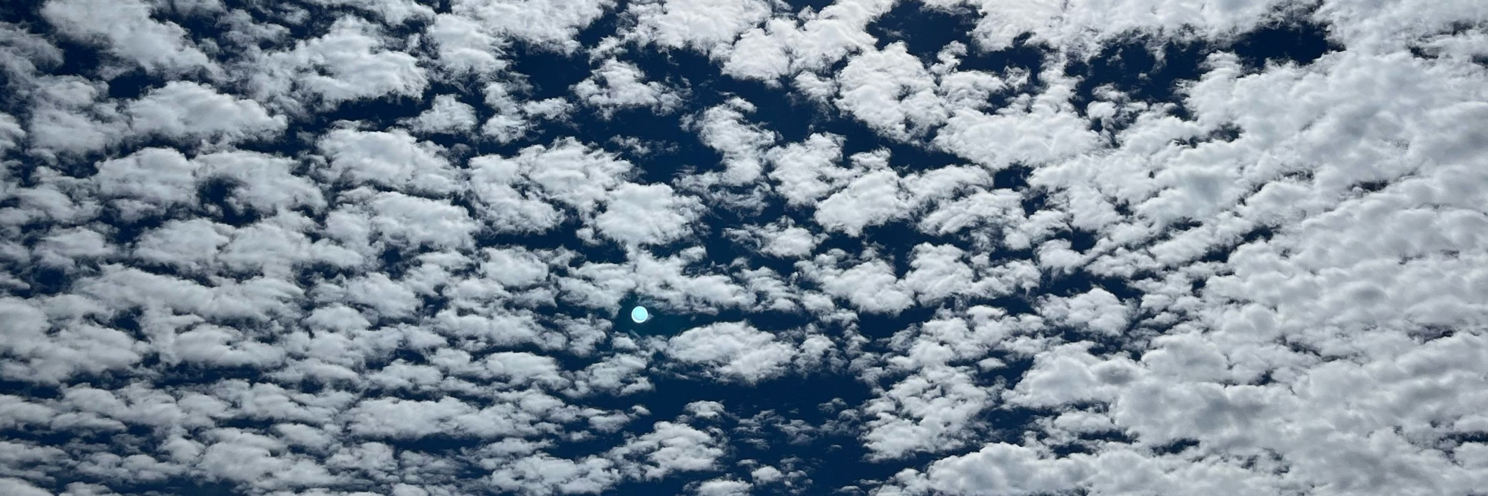mansamus