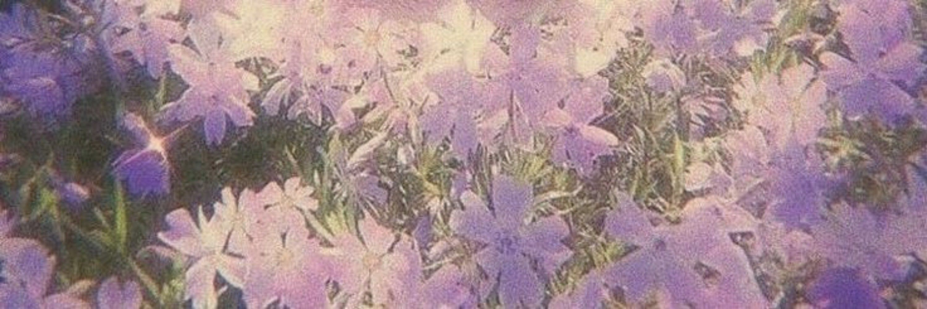 фета 9 🪴