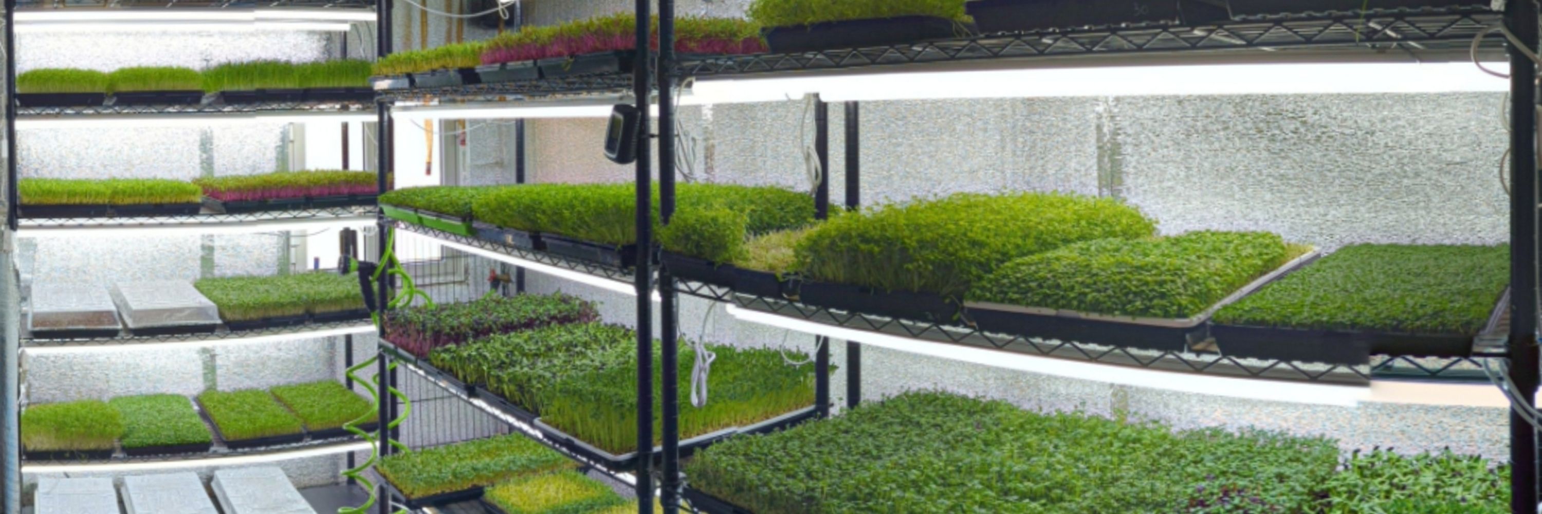 McNabb Microfarm