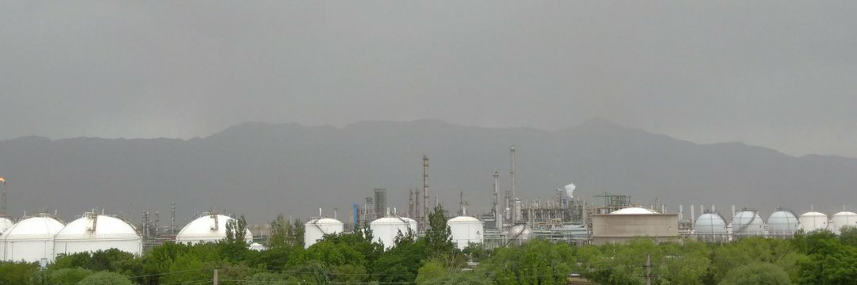 Mohsen Ansari