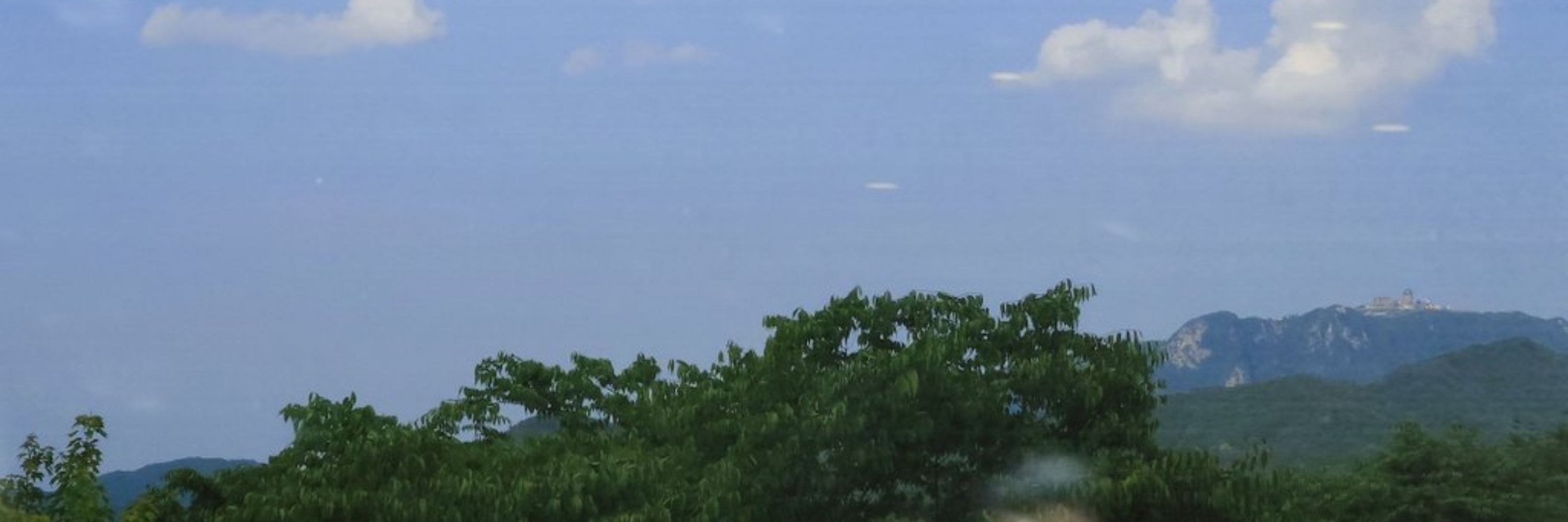김이드