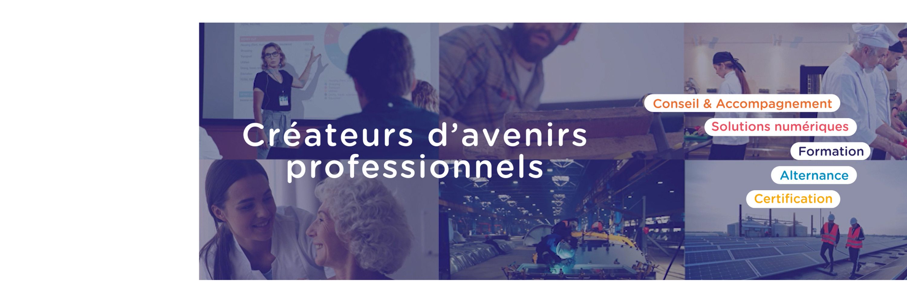 Les Acteurs de la Compétence