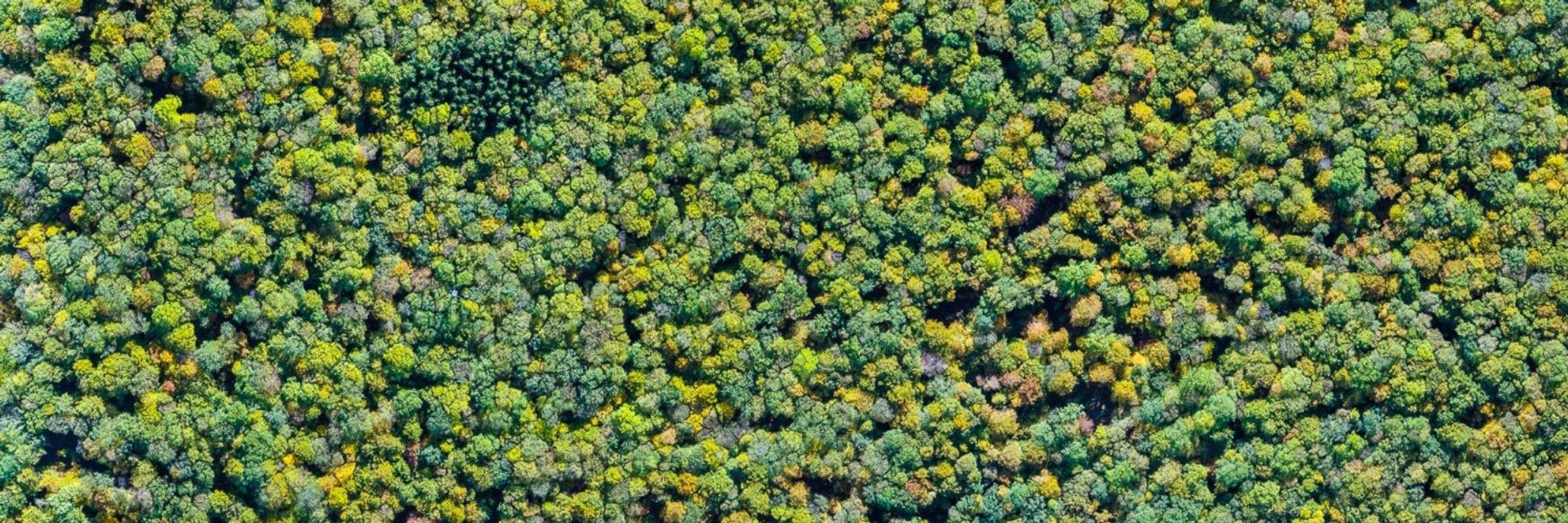 Bioclimatology Göttingen