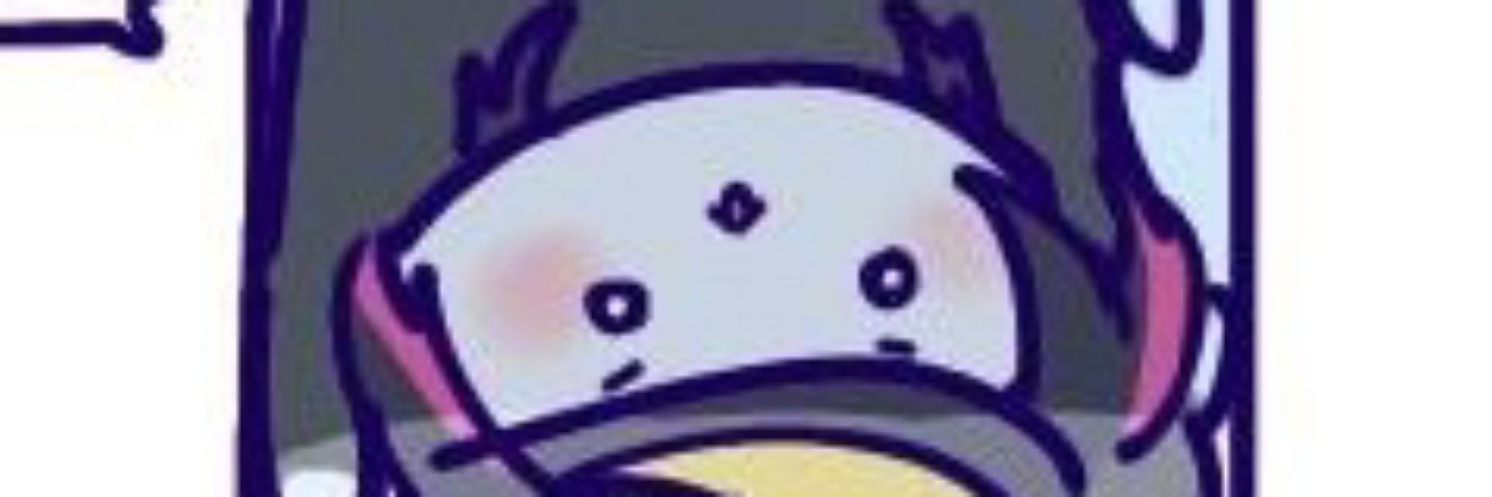 なぷさん