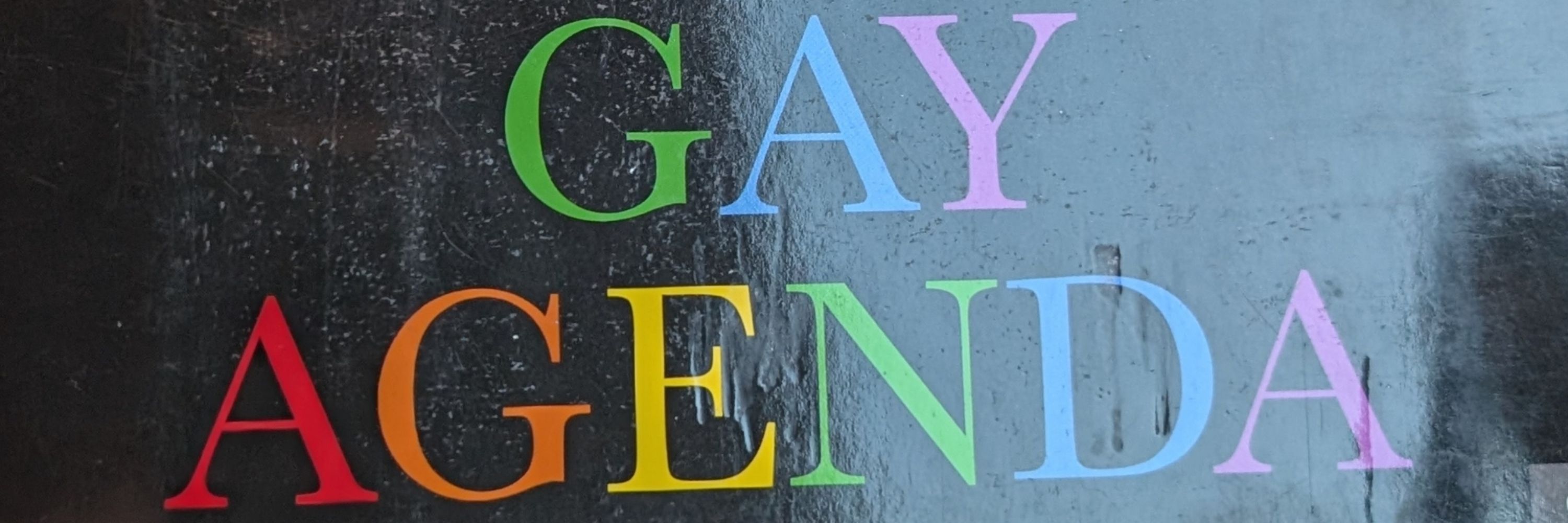 🏳️‍🌈Dan🏳️‍⚧️