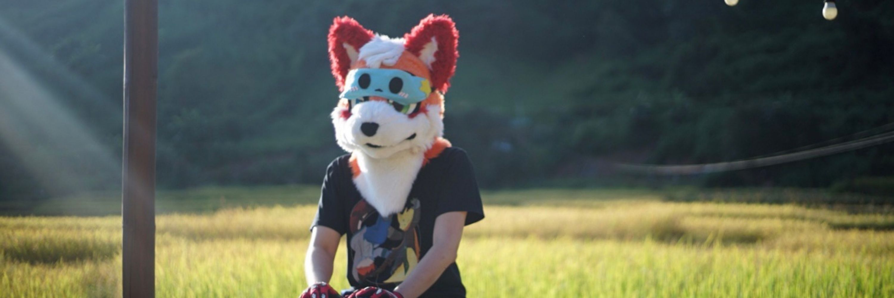 Lighter Kitsune