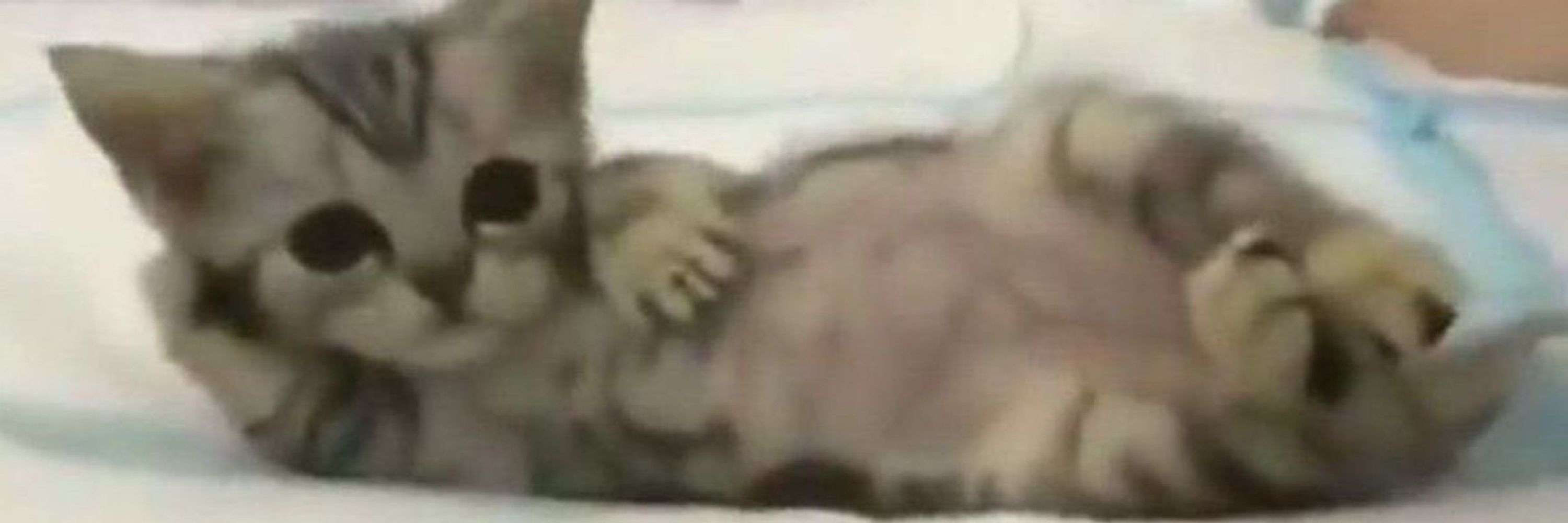 𝙈𝙞𝙣 𝙔𝙤𝙤𝙣𝙜𝙞𝙣𝙖⁷