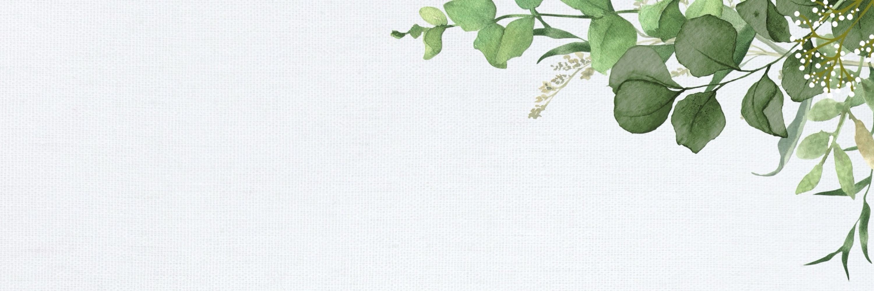 LacyBotanics
