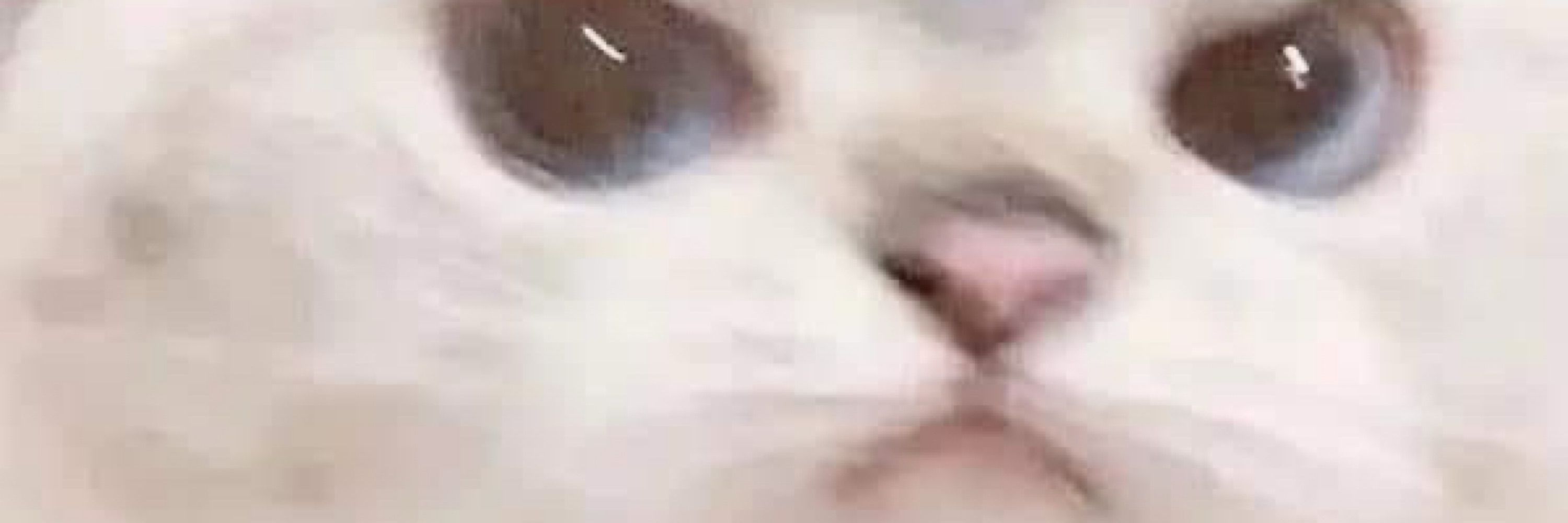 boo !!