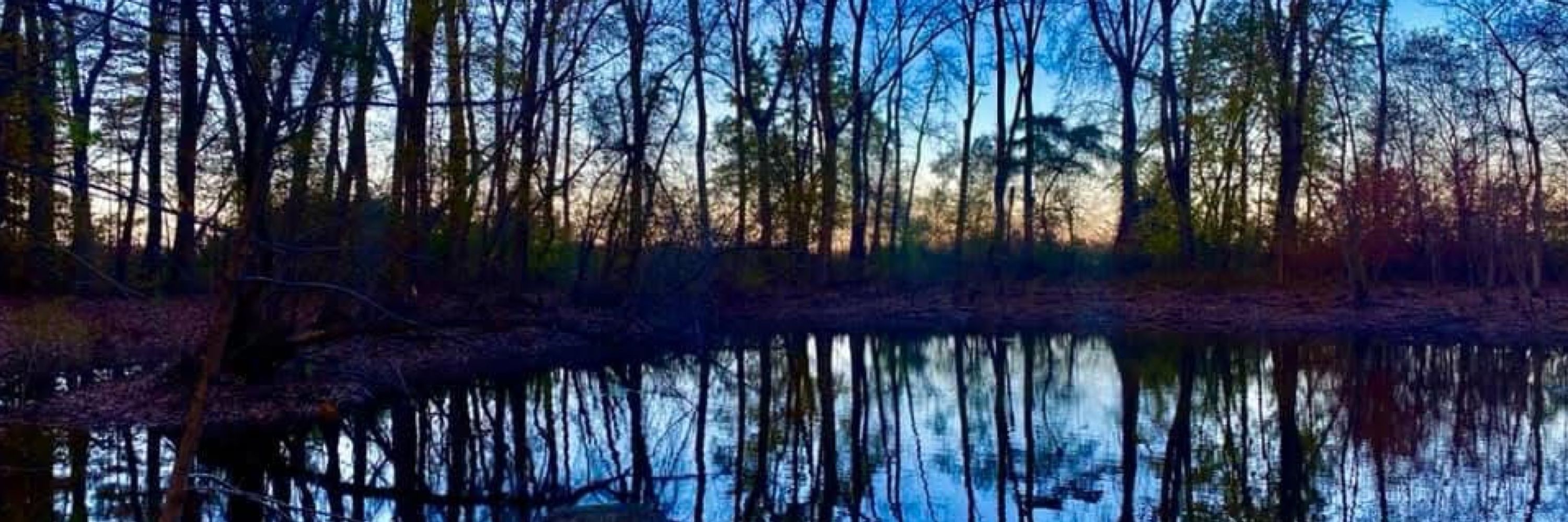 Magie Beck
