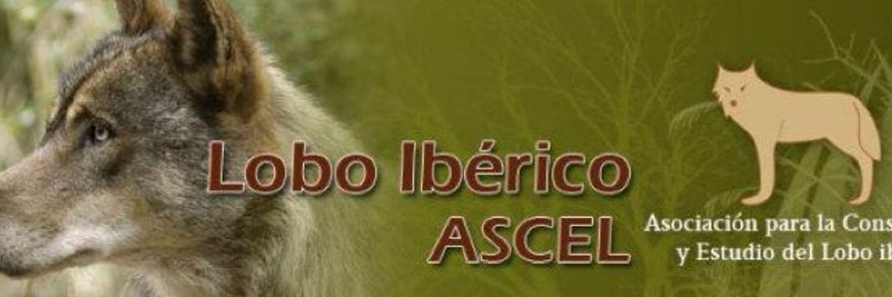 ASCEL