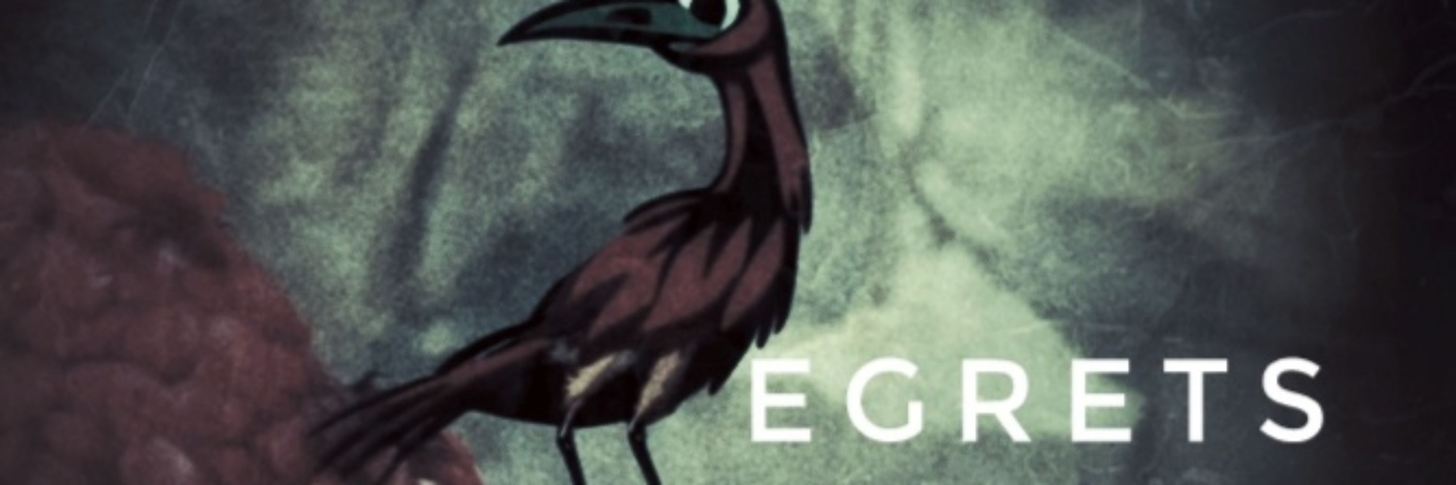 egrets