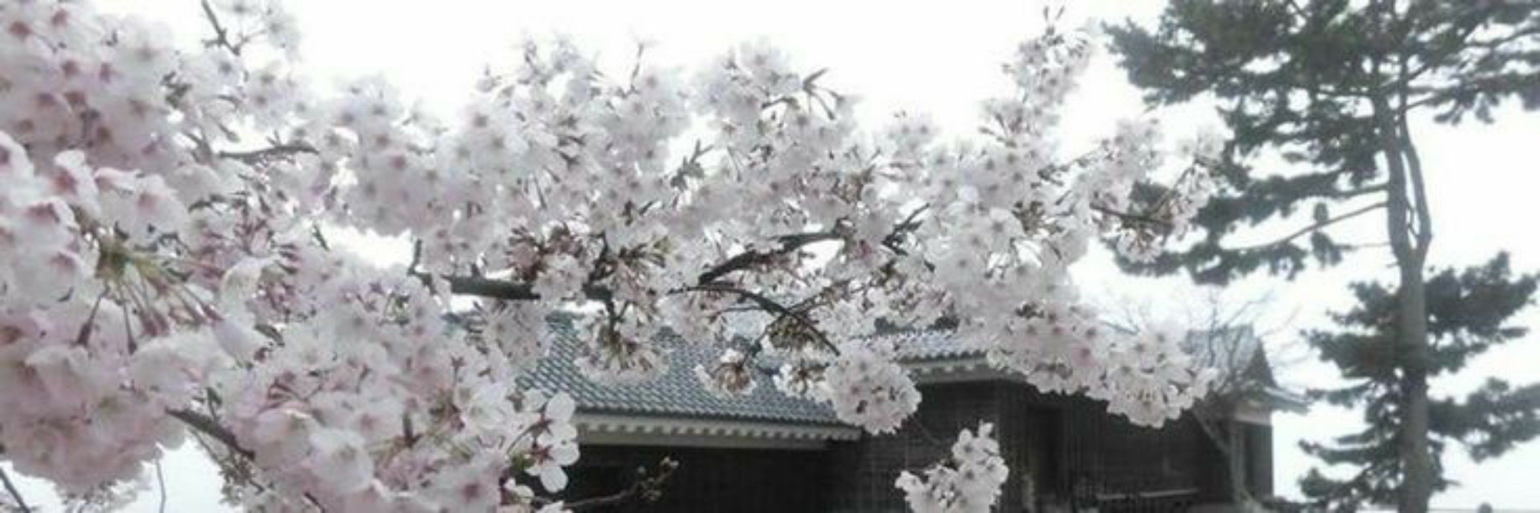 ㅤㅤ𝐊̷̸̷ᮁ᤻yo    京
