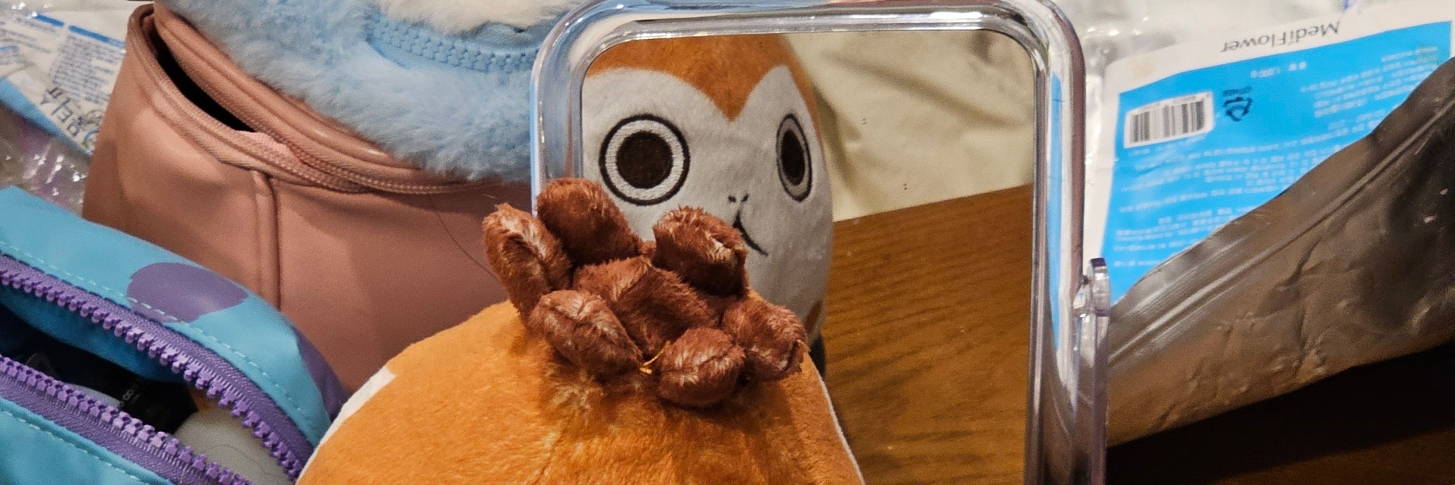 꼬꼬