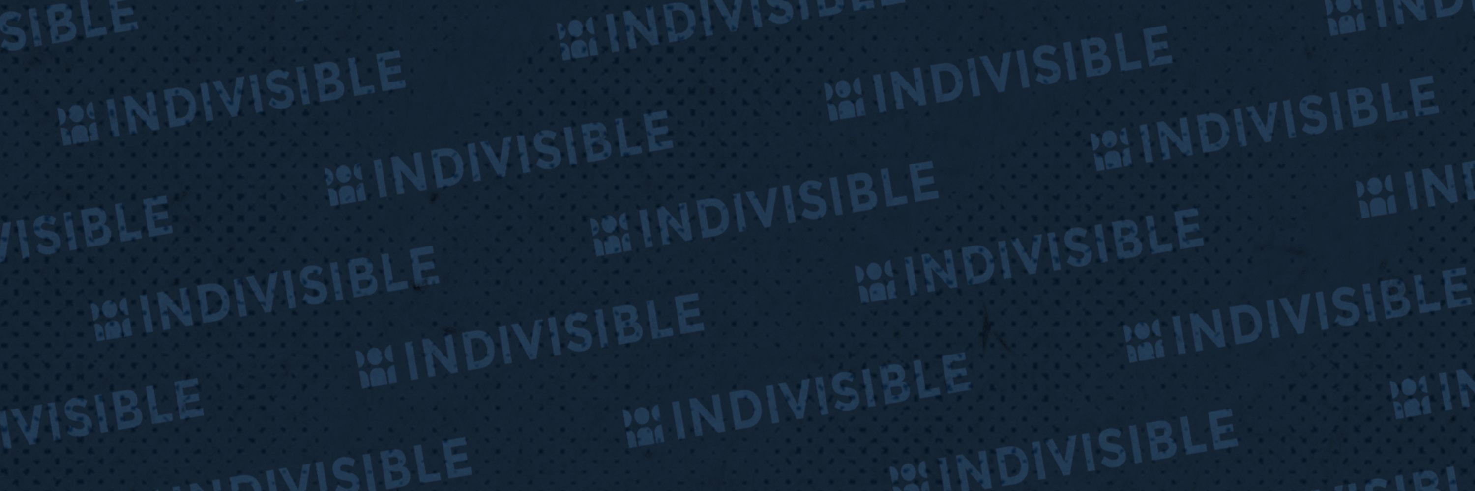 Indivisible Chicago Edgewater 