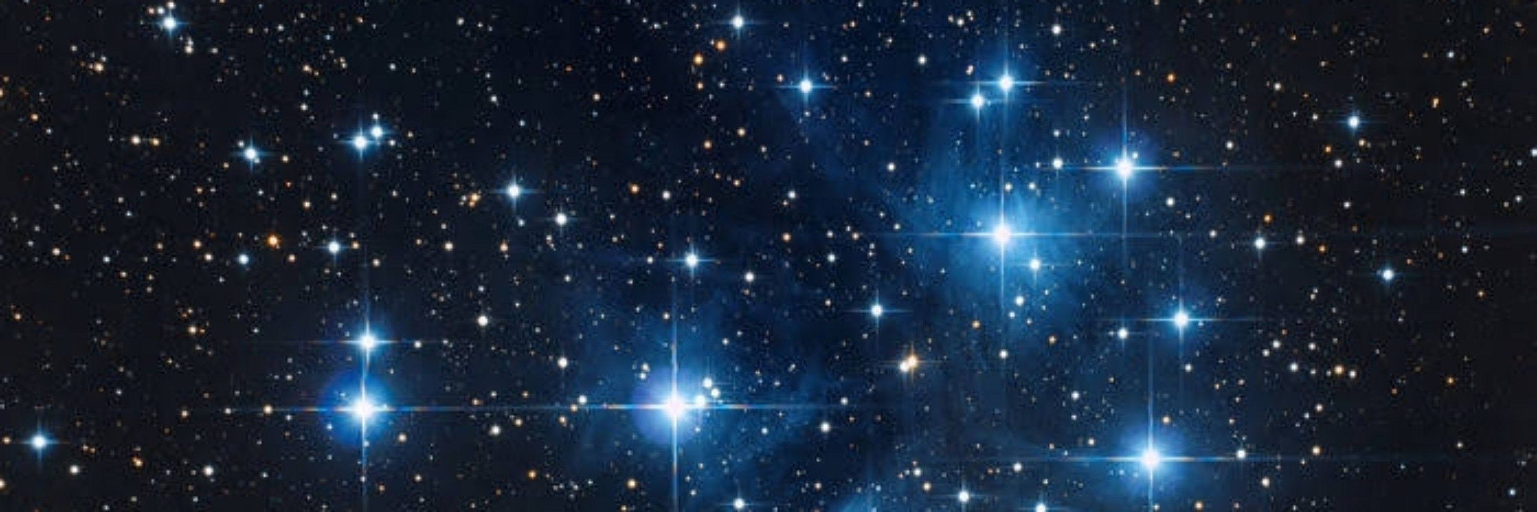 Lady Bluestar