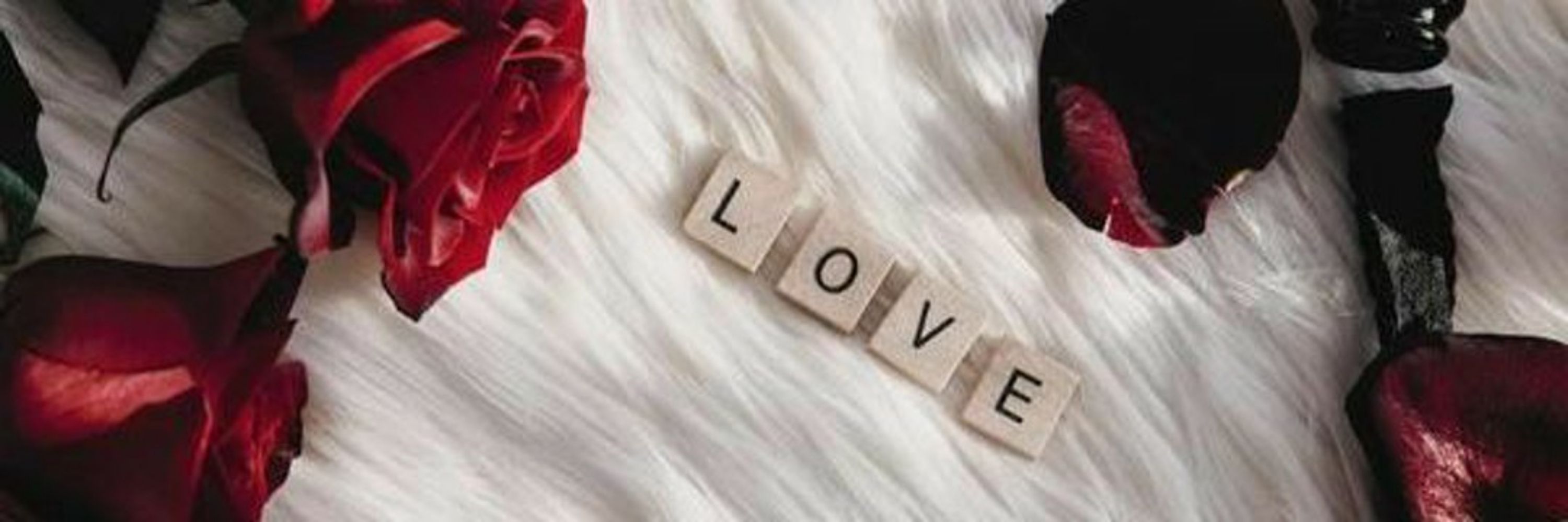 Jane Rose Cullen ♥️💋 / 📖 : Aprendiz do Vilão