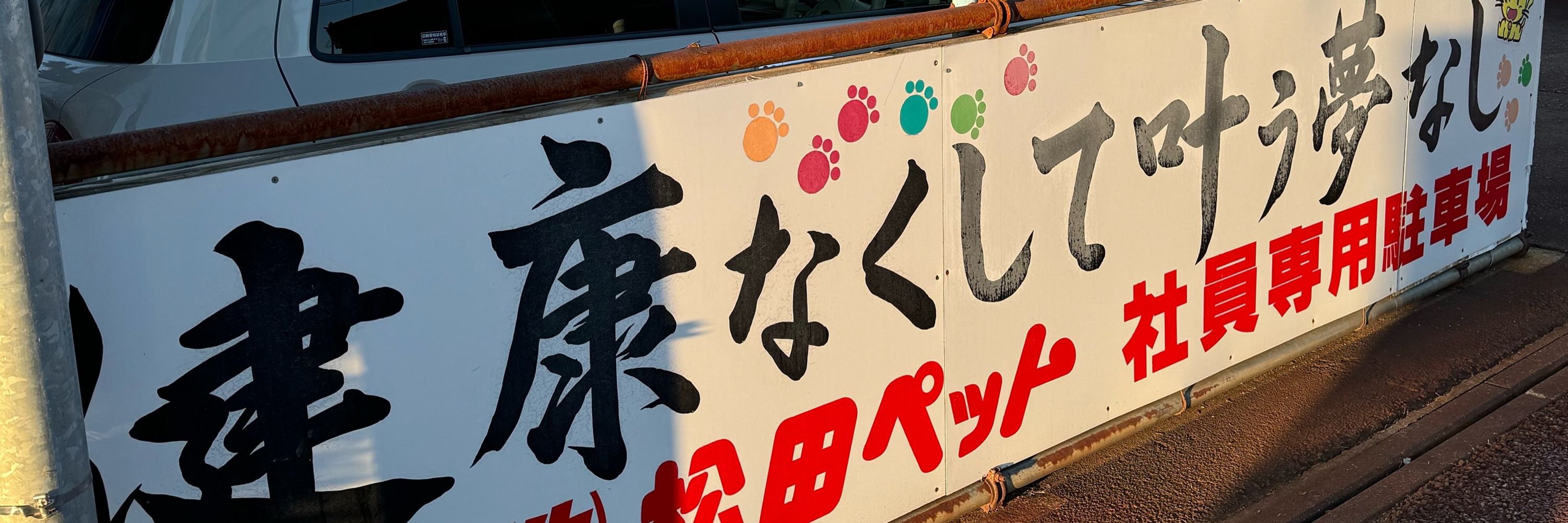 白T