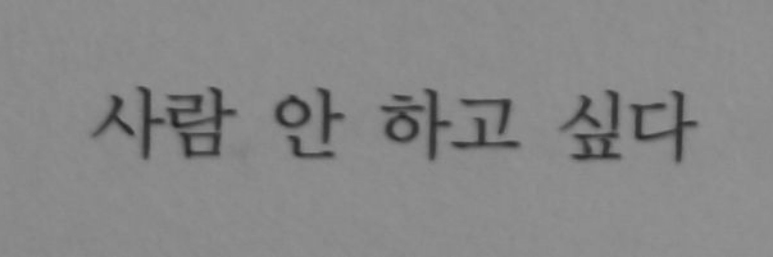 호지