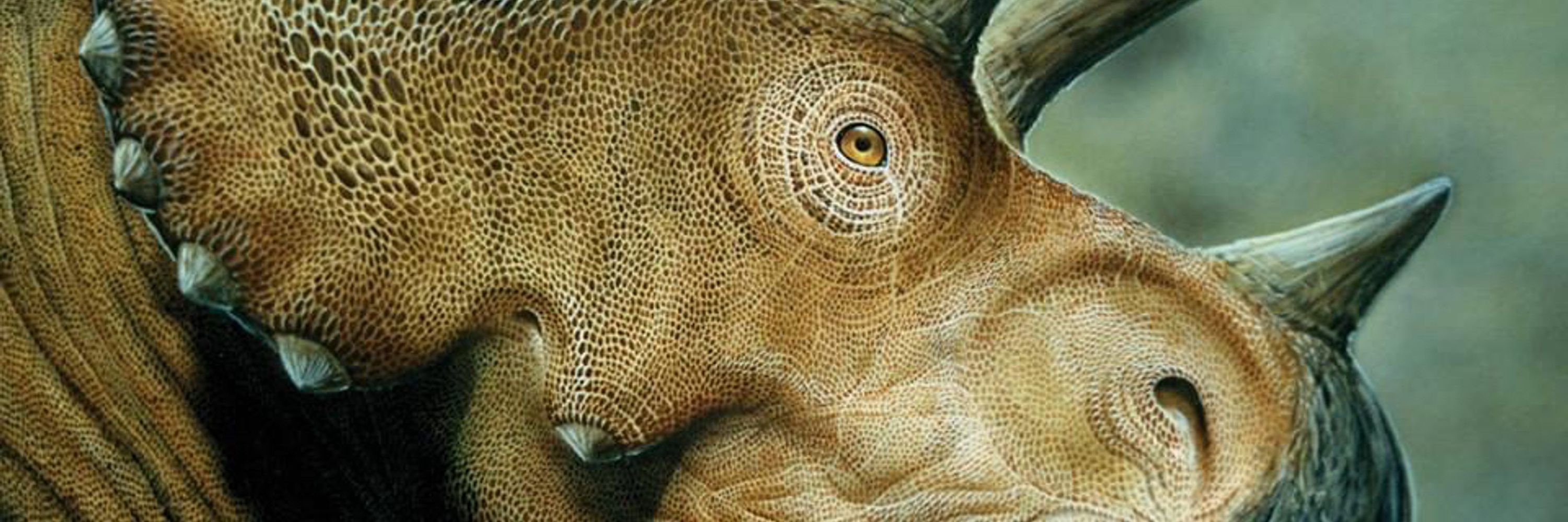 All Things Dinosaurs