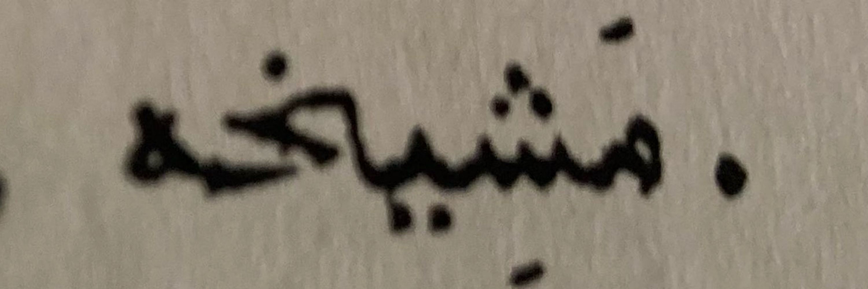 محمّد فاسي
