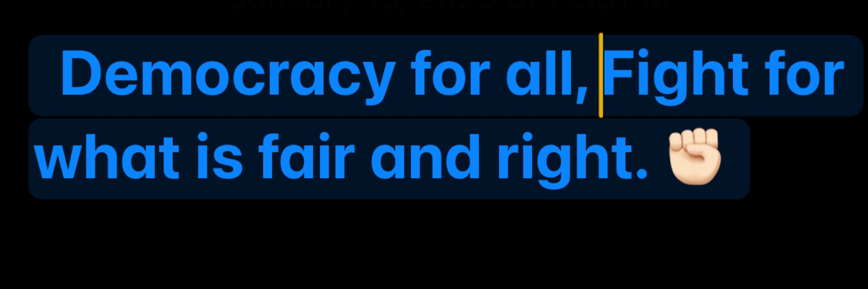 Josh w #democracy