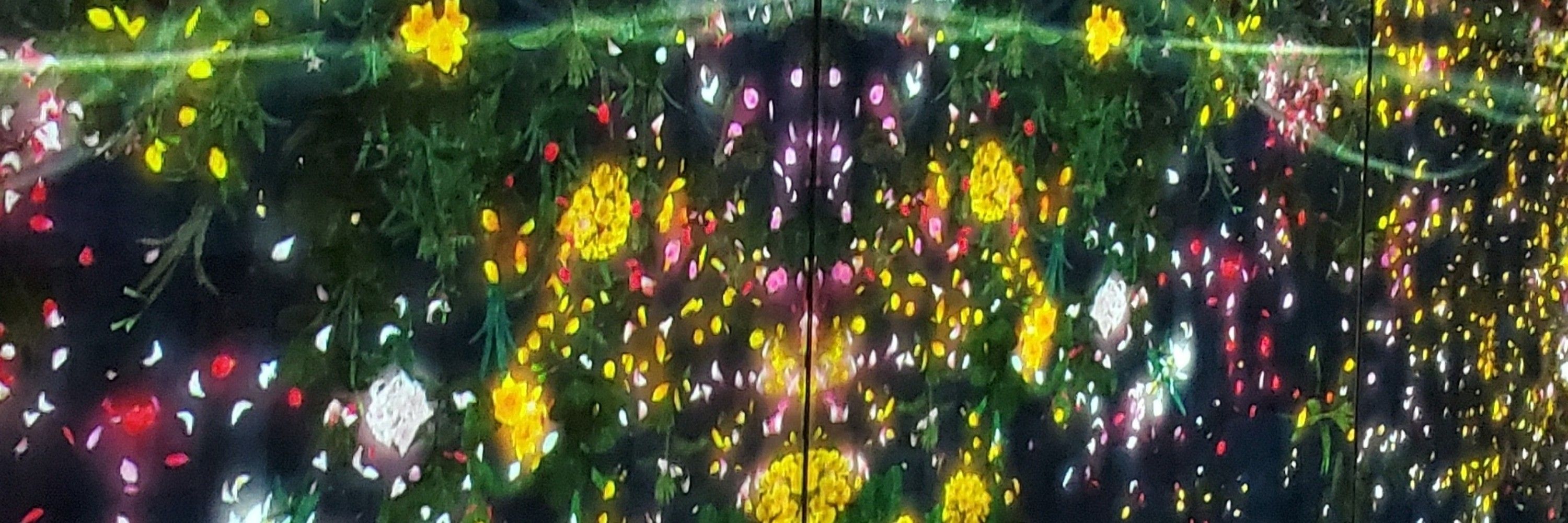 花影
