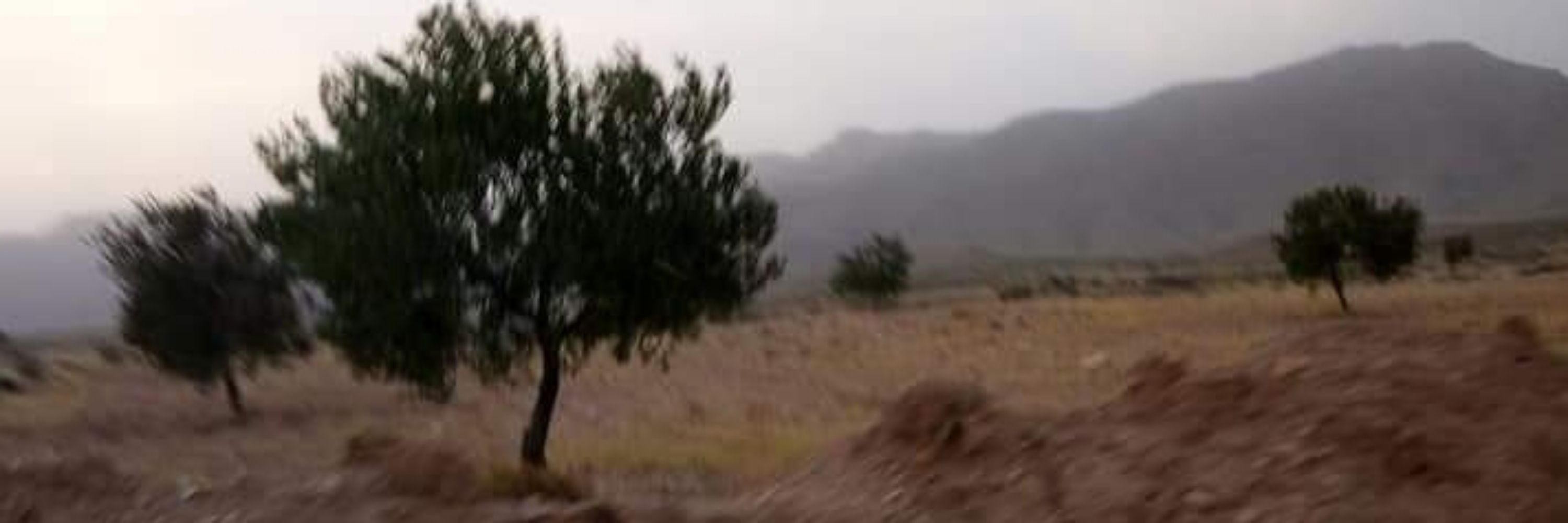 ZOUHAIER 🇹🇳