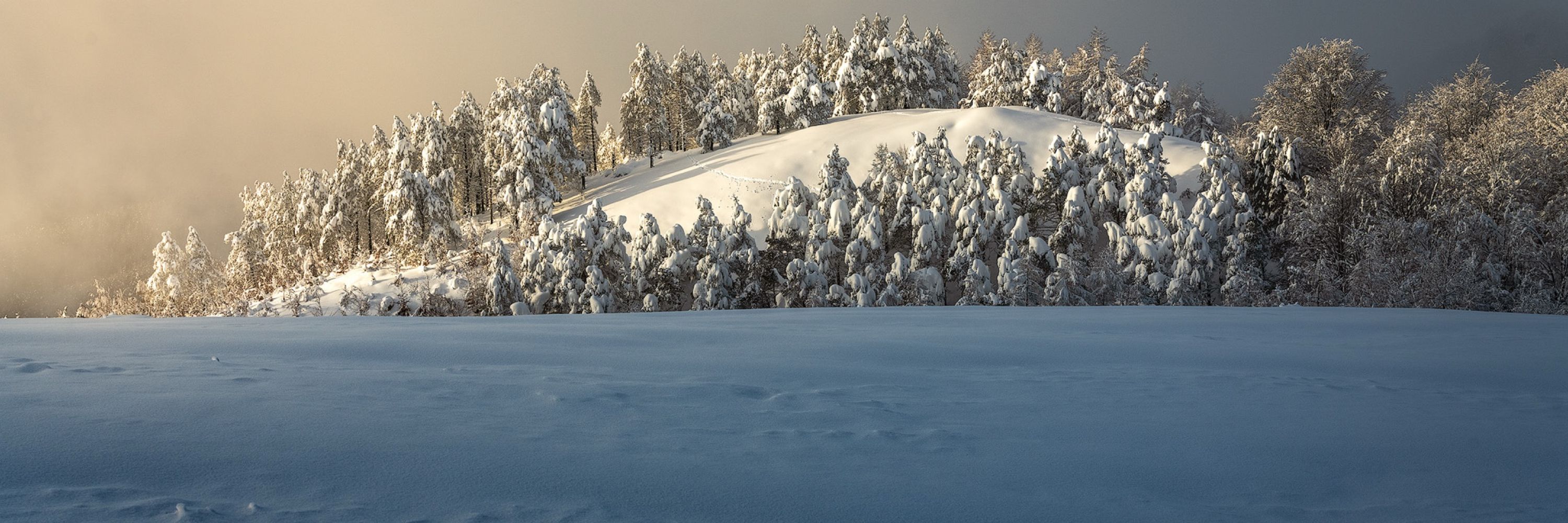 Mikel Larrea Landscapes